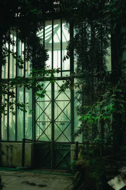 DSCF6122.jpg